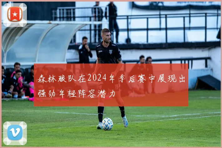 森林狼队在2024年季后赛中展现出强劲年轻阵容潜力