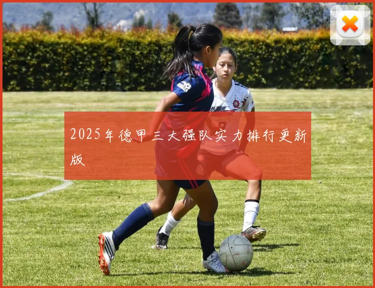 2025年德甲三大强队实力排行更新版