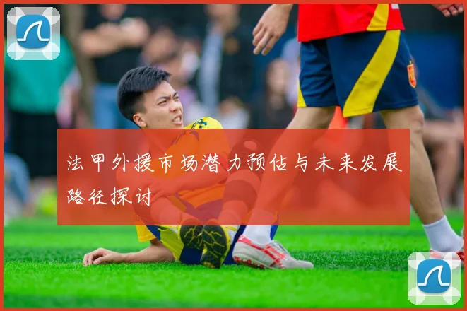 法甲外援市场潜力预估与未来发展路径探讨