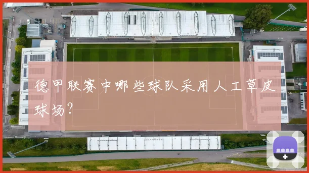 德甲联赛中哪些球队采用人工草皮球场?